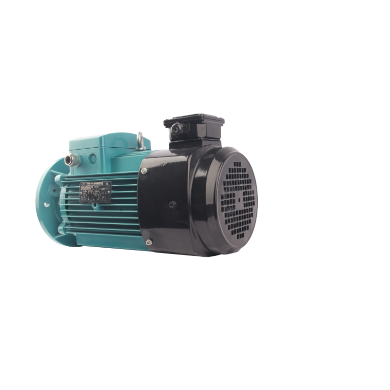 FLAV/FLFV/FLGV series variable frequency three phase asynchronous AC motor